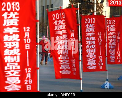 Peking, China. 16. Dezember 2013. Chinesische am Straßenrand Banner werben ein Low-Budget-Bekleidung-Sale am 16. Dezember 2013 bei einer Exhibition Center in Peking stattfand. Trotz einer aktuellen Umfrage, die Beijing als eines der teuersten Städte in Asien leben unterhält Chinas Hauptstadt immer noch eine robuste Wirtschaft catering für junge und ältere Menschen - sowohl auf festen Einkommen und in der Regel Low-Budget. Stephen Shaver/ZUMAPRESS.com/Alamy © Live-Nachrichten Stockfoto