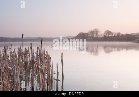 Tamar Untersee, Cornwall, UK Stockfoto