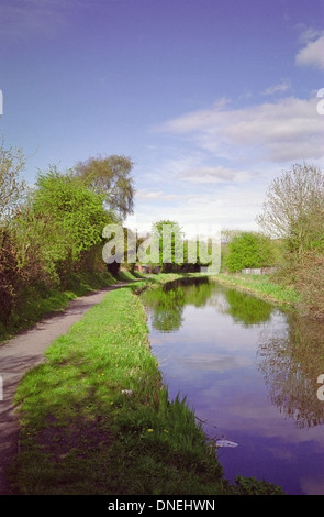 Stourbridge Canal im Frühling, Brierley Hill, West Midlands, England, UK Stockfoto