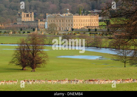 Chatsworth Anwesen, Peak District, Derbyshire, UK.  24. Dezember 2013. Damwild sammeln von einem schnell fließenden Fluss Derwent über Regen durchnässt Boden von Chatsworth House als Sonnenschein und ruhiger Wetterlage kommen im Peak District folgende gestern (23.12.2013) Stürme, die der Region und vielen Teilen des Vereinigten Königreichs festgezurrt ist.  Chatsworth Sterne in dem Historiendrama "Tod kommt zu Pemberley", die Pride and Prejudice Fortsetzung basierend auf dem Roman von PD James, die Sendungen auf BBC1 für drei aufeinander folgende Nächte Anfang Boxing Day, 20:15. Bildnachweis: Deborah Vernon/Alamy Live-Nachrichten Stockfoto