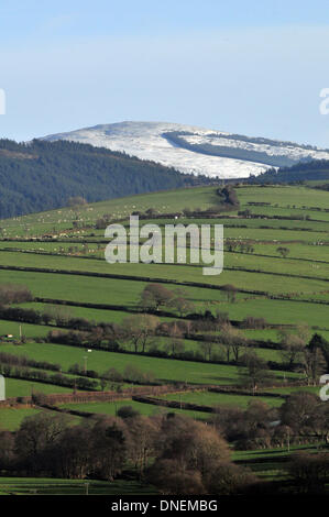 Aberystwyth, Wales, UK - schwere winterliche Schauern bringen Schnee und Hagel zu den Gipfeln der Cambrian Mountains in der Nähe von Aberystwyth, Wales, UK, während Schafe auf den unteren Boden - 24. Dezember 2013 grasen. Bildnachweis: John Gilbey/Alamy Live News. Stockfoto