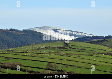 Aberystwyth, Wales, UK - schwere winterliche Schauern bringen Schnee und Hagel zu den Gipfeln der Cambrian Mountains in der Nähe von Aberystwyth, Wales, UK, während Schafe auf den unteren Boden - 24. Dezember 2013 grasen. Bildnachweis: John Gilbey/Alamy Live News. Stockfoto