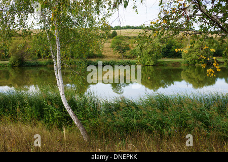 Lake Buzasvolgyi, Ungarn Stockfoto