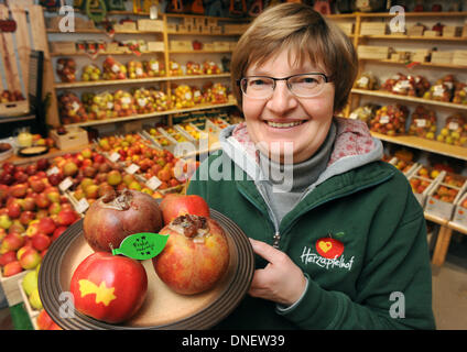 Beate Luehs vom Herzapfelhof (Herz Apple Farm) hält eine Platte mit zwei gebackene Boskop-Äpfel und zwei glänzende rote Jonagold Äpfel mit Weihnachten Motive auf sie im Hofladen in der Region Altes Land in Jork, Deutschland, 18. Dezember 2013. Foto: Ingo Wagner/dpa Stockfoto
