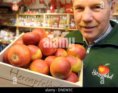 Hein Luehs vom Herzapfelhof (Herz Apple Farm) hält ein Altes Land Weihnachten Äpfel im Hofladen in der Region Altes Land in Jork, Deutschland, 18. Dezember 2013. Diese Art von Apple kam aus Dänemark, die Altes Land/Region. Luehs besitzt rund 30 Bäume mit dieser Art von Apple in seinem Obstgarten. Foto: Ingo Wagner/dpa Stockfoto