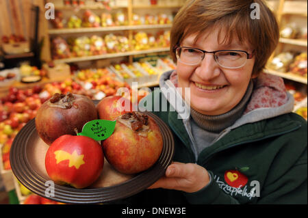 Beate Luehs vom Herzapfelhof (Herz Apple Farm) hält eine Platte mit zwei gebackene Boskop-Äpfel und zwei glänzende rote Jonagold Äpfel mit Weihnachten Motive auf sie im Hofladen in der Region Altes Land in Jork, Deutschland, 18. Dezember 2013. Foto: Ingo Wagner/dpa Stockfoto
