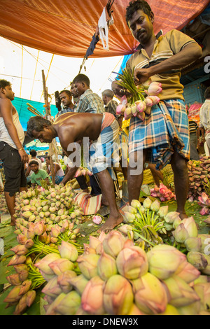 Mallick Ghat Blumenmarkt - Kalkutta (Kolkata), Indien Stockfoto