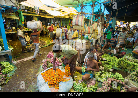 Mallick Ghat Blumenmarkt - Kalkutta (Kolkata), Indien Stockfoto