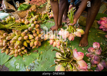 Mallick Ghat Blumenmarkt - Kalkutta (Kolkata), Indien Stockfoto
