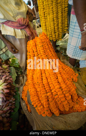 Mallick Ghat Blumenmarkt - Kalkutta (Kolkata), Indien Stockfoto