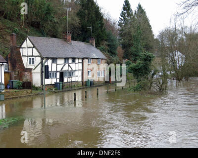 Eashing, Surrey, UK. 24. Dezember 2013. Überflutung der Fluss Wey in Eashing in der Nähe von Godalming in Surrey. Sturm zwingen Wind und Schlagregen große Teile des südlichen England in den frühen Morgenstunden von Heiligabend verlassen, großflächigen Überschwemmungen und Powercuts getroffen. Bildnachweis: James Jagger/Alamy Live News Stockfoto