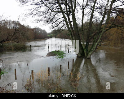Eashing, Surrey, UK. 24. Dezember 2013. Überflutung der Fluss Wey in Eashing in der Nähe von Godalming in Surrey. Sturm zwingen Wind und Schlagregen große Teile des südlichen England in den frühen Morgenstunden von Heiligabend verlassen, großflächigen Überschwemmungen und Powercuts getroffen. Bildnachweis: James Jagger/Alamy Live News Stockfoto