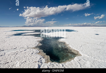 SALINAS GRANDES ARGENTINIEN Stockfoto