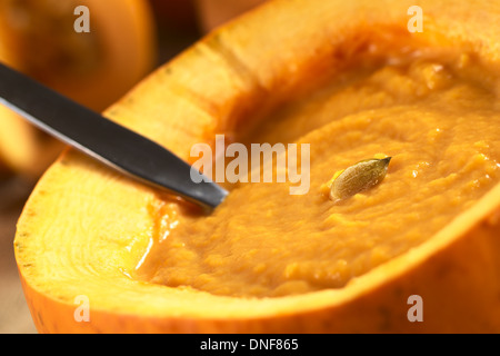 Frische, cremige Kürbissuppe in einen Kürbis mit einem Löffel serviert und garniert mit einem Kürbis Samen Stockfoto