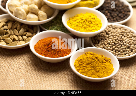 Gewürz, Kurkuma, Zimt, Chili-Pfeffer, Kardamom, Kichererbsen, weißer Pfeffer Stockfoto