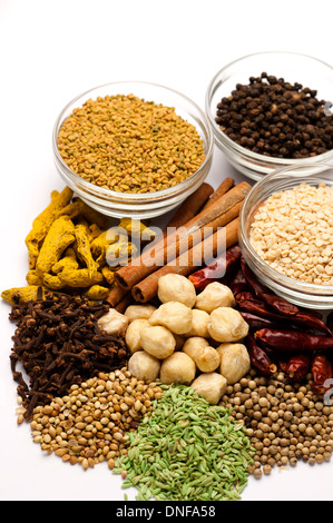 Gewürz, Kurkuma, Chili, Zimt, Kichererbsen, Nelken, Fenchel, weißen Pfeffer, Koriander, Mungobohnen, schwarzen Pfeffer Stockfoto