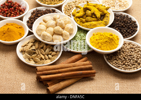 Gewürz, Kurkuma, Curry-Pulver, Kurkuma, Zimt, Kichererbsen, Nelken, Fenchel, schwarzer Pfeffer, weißer Pfeffer, Koriander Stockfoto