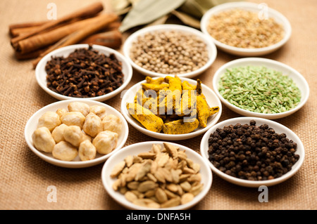 Gewürz Curcuma, Kichererbsen, Nelken, schwarzer Pfeffer, Fenchel, Zimt, weißer Pfeffer, Mungobohnen, Kardamom, Lorbeerblättern Stockfoto