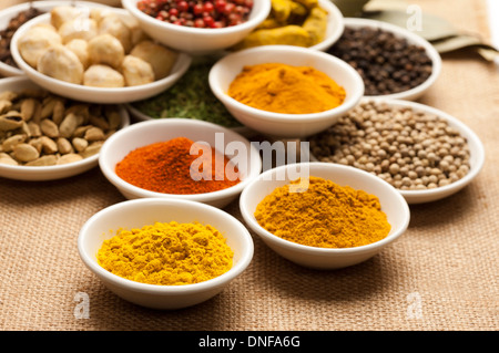 Gewürz, Kurkuma, Chili-Pfeffer, Currypulver, Kardamom, weißer Pfeffer, Kichererbsen, Fenchel, Curcuma Stockfoto