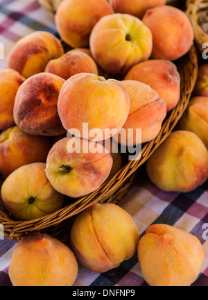 Frische Pfirsiche der Palisade zum Verkauf, Buena Vista, Colorado, Bauernmarkt Stockfoto