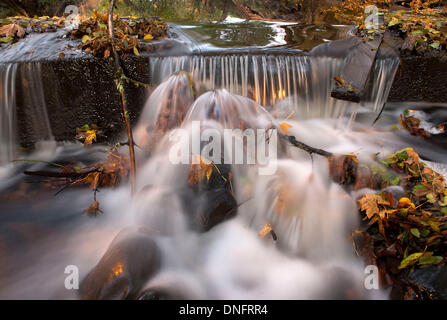 Roseburg, Oregon, USA. 30. Oktober 2013. Blätter fallen bringen Sie Farbe in einem kleinen Wasserfall entlang Deer Creek in Roseburg. Robin Loznak/ZUMAPRESS.com/Alamy © Live-Nachrichten Stockfoto