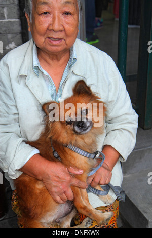 Peking China, Chinesisch, Dongcheng Bezirk, Nanluoguxiang, Hutong, asiatischer Erwachsener, Erwachsene, Frau weibliche Frauen, Senioren Bürger, Hund, Haustier, Holding, CH Stockfoto