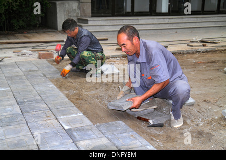 Peking China, Chinesisch, Haidian District, Peking-Universität, PKU, Beidà, Hochschulbildung, Campus, asiatischer Mann Männer männlich, Bauarbeiter, Steinfliesen verlegen, l Stockfoto