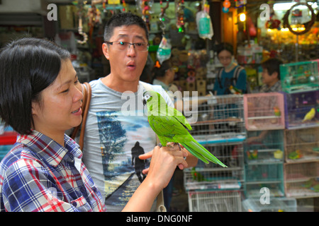 Hong Kong China, HK, Chinesisch, Kowloon, Prinz Edward, Yuen Po Street, Bird Garden Market, Verkäufer, Stände Stand Stand Markt Kauf Verkauf, Display Sal Stockfoto