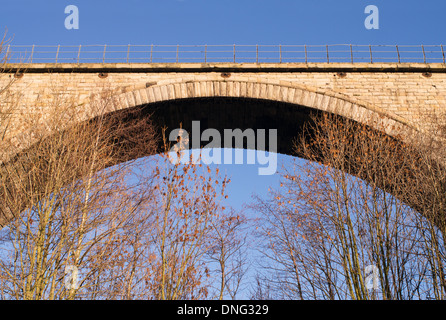 Bogen der Victoria Viadukt viktorianischen Eisenbahnbrücke über den Fluss zu tragen, in Washington, Nord-Ost-England, UK Stockfoto