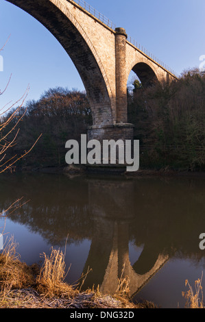 Victoria-Viadukt viktorianischen Eisenbahnbrücke über den Fluss zu tragen, in Washington, Nord-Ost-England, UK Stockfoto