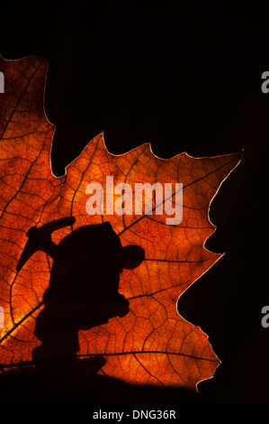 Silhouette des Märchens Zwerg / Gnome mit Spitzhacke Silhouette gegen Herbst Blatt beim marschieren in Märchen wie Wald bei Nacht Stockfoto