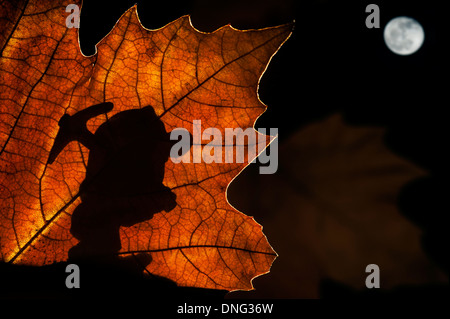 Silhouette des Märchens Zwerg / Gnome mit Spitzhacke Silhouette gegen Herbst Blatt beim marschieren in Märchen wie Wald bei Nacht Stockfoto