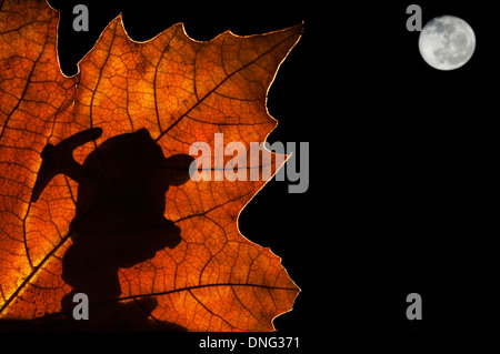 Silhouette des Märchens Zwerg / Gnome mit Spitzhacke Silhouette gegen Herbst Blatt beim marschieren in Märchen wie Wald bei Nacht Stockfoto