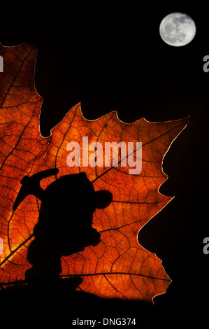 Silhouette des Märchens Zwerg / Gnome mit Spitzhacke Silhouette gegen Herbst Blatt beim marschieren in Märchen wie Wald bei Nacht Stockfoto