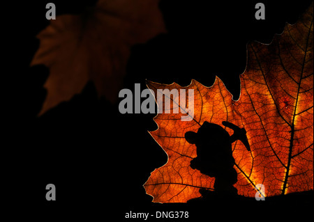 Silhouette des Märchens Zwerg / Gnome mit Spitzhacke Silhouette gegen Herbst Blatt beim marschieren in Märchen wie Wald bei Nacht Stockfoto