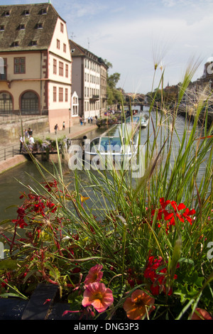 Touristenboot Straßburg, Elsass, Frankreich Stockfoto