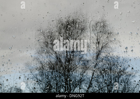 An einem windigen düster verregneten Tag im Herbst oder Winter mit keine Blätter Bäume Fenster Regentropfen Blick düsteren Wetter im Inneren gefangen Stockfoto