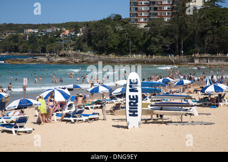 Strandausrüstung zu mieten, Liegestühle, Sonnenstrahlen und Sonnenschirme zu mieten am Manly Beach in Sydney, NSW, Australien Stockfoto