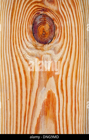 Hellen Holz-Hintergrund für Ihr Design. Stockfoto