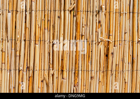 Flechtwerk-Zaun-Textur. Stockfoto