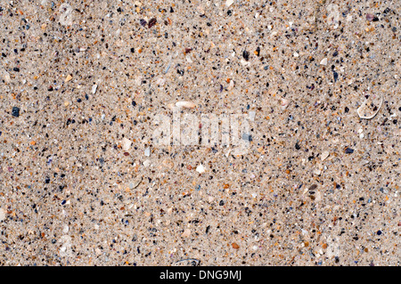 Nassen Sand Textur für Ihr design Stockfoto