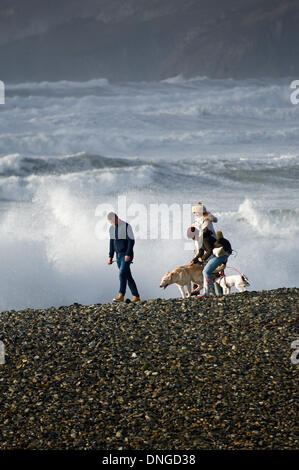 Newgale, Pembrokeshire, Wales, UK. 27. Dezember 21013. Sturmwinde erzeugen riesige Wellen bis an den Horizont auf der südwestlichen Küste von Wales. Bildnachweis: Graham M. Lawrence/Alamy Live-Nachrichten. Stockfoto