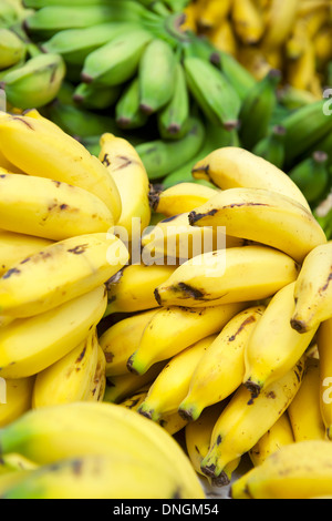 Die Trauben reif gelb und unreife grüne gestapelt Bananen im Freien an tropischen Früchten Bauernmarkt in Rio De Janeiro Brasilien Stockfoto