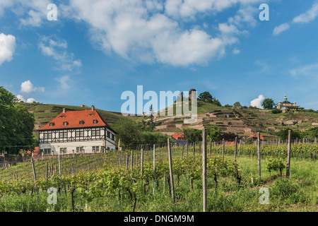 Die Weinberge, Bismarckturm, Spitz-Haus und Schloss Hoflössnitz steht im Vordergrund. Radebeul bei Dresden, Sachsen, Deutschland Stockfoto