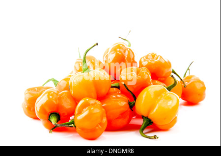 hot peppers - Pimenta de Cheiro - gelbe Paprika. Stockfoto