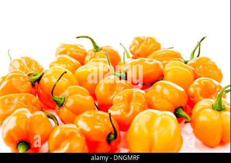hot peppers - Pimenta de Cheiro - gelbe Paprika. Stockfoto