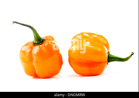 hot peppers - Pimenta de Cheiro - gelbe Paprika. Stockfoto