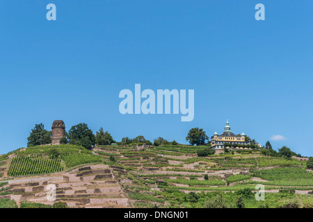 Blick auf die Weinberge, den Bismarckturm und Spitz Haus, Radebeul bei Dresden, Sachsen, Deutschland, Europa Stockfoto