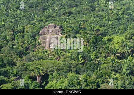 Luftaufnahme von Lamanai Maya Ruinen in den tropischen Dschungel von Belize Stockfoto