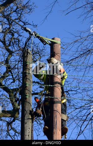 Haywards Heath, Sussex, UK. 29. Dezember 2013. UK Power Networks Mitarbeiter abgebildet beim Reparieren des Netzwerks in Haywards Heath, Sussex nach Tagen Regen und Stürme der South East Of England geschlagen hatte. Mehr schlechtes Wetter wird voraussichtlich morgen die Südküste getroffen. 29.12.13 Kredit: Chloe Parker/Alamy Live-Nachrichten Stockfoto